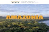 Plan Integral para la Amazonía · 2021. 6. 17. · Plan Integral para la Amazonía 2021-2035 El Plan Integral para la Amazonía fue puesto en conocimiento y aprobado por el pleno