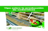 Tips sobre la producción de codornices - Zucami · 1 Especies de codornices más utilizadas La especie de codorniz que más se utiliza para la producción de huevo y carne es la