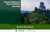 Proyecto Protección de Recursos Naturales Selva Maya · 2021. 7. 15. · Maya que promuevan el bienestar de su gente y ofrezcan servicios ambientales de importancia global. ... periodos