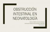 Obstrucción intestinal en neonatología · 2021. 5. 11. · El 80% compromete solamente al recto y colon sigmoides. – Incidencia de 1/5.000 RNV. – Es más frecuente en varones.