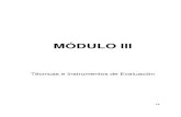 MÓDULO III - IPLACEXcursos.iplacex.cl/PERFECCIONAMIENTO/Post 006/L3/M3.pdf · MÓDULO III Técnicas e Instrumentos de Evaluación. 14 . 15 INTRODUCCIÓN Dentro del proceso de Enseñanza-Aprendizaje,
