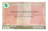 Diagnóstico Agro productivo del arroz en el Perú · 2017. 9. 16. · Diagnóstico Agro productivo ... • Industria molinera sub - ocupada • Competencia desleal entre molineros