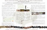Amazon soils - Food and Agriculture OrganizationAnt and termite diversity of the Colombian Amazon soils Castro, D. 1,2, Fernandez, F. 2, Scheffrahn, R.H. 3, Peña-Venegas, C.P. 4 1