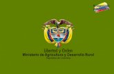 CADENA NACIONAL DE LA MORA - minagricultura.gov.co · 2019. 6. 25. · Octubre de 2011. I. INDICADORES 1. Área, producción y rendimientos de Mora en Colombia 1999 hasta 2010 ...