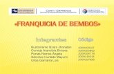 Bustamante lázaro Jhonatan Cornejo Arancibia Biviana ...€¦ · • BEMBOS realiza promociones para los usuarios en página Web, brindándoles cupones. Inversiones s/ 393,458.00