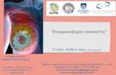 “Imagenología mamaria” - Higiene · 2018. 7. 2. · imagenologÍa mamaria. incidencia- estadisticas actuales 30 julio unidad 4 posicionamiento del paciente calidad en mamografia