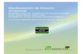 Manifestación de Impacto Ambientalsinat.semarnat.gob.mx/dgiraDocs/documentos/nl/estudios/... · 2014. 2. 13. · representa la sustitución del ducto en estas condiciones, se ha