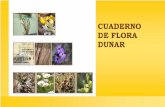 C UADE RNO DE FLORA DUNAR - Mario Mairal · 2020. 6. 12. · Manual de Especies de Consideración Especial, Sector Gaditano Onubense. Red Andaluza de Jardines Botánicos en Espacios