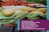 Canales de comercialización de alimentos agroecológicos ......Paraguay Orgánico y Ñane Mercado, que se dedican a la comer-cialización de productos de la AFC, utilizando las TIC