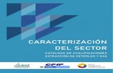 CARACTERIZACIÓN DEL SECTOR · 2021. 5. 3. · PRIMERA EDICIÓN, 2021 BOGOTÁ D.C., COLOMBIA CARACTERIZACIÓN DEL SECTOR CATÁLOGO DE CUALIFICACIONES - EXTRACCIÓN DE PETRÓLEO Y