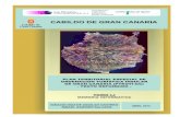 CABILDO DE GRAN CANARIA · 2014. 2. 18. · Cabildo de Gran Canaria continuó con la tramitación iniciada y, por tanto, el texto definitivamente publicado tras el Decreto 68/2004