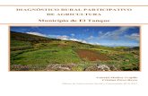 DIAGNÓSTICO RURAL PARTICIPATIVO DE AGRICULTURA · 2011. 7. 28. · Diagnóstico Rural Participativo de Agricultura en el Municipio de El Tanque Máster de Intervención Social y