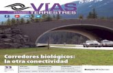 Corredores biológicos: la otra conectividadamivtac.org/revistas/VT33.pdf · 2021. 8. 31. · 4 Órgano ocial de la Asociación Meicana de Ingeniería de Vías Terrestres A. C.Nmero