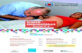 Dossier Talleres - Emabarazadas - Junio 2014 · 2015. 4. 6. · Agosto 2014 Año VII Programa SUMARPrograma SUMAR. Captación Temprana y Seguimiento del Embarazo Estrategias sanitarias