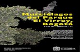 Murciélagos del Parque El Virrey, Bogotáciencias.bogota.unal.edu.co/fileadmin/Facultad_de... · 2021. 4. 23. · 10 El Corredor Ecológico de Ronda Canal El Virrey, más conocido