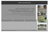 ESTUDIO DE LAS ORGANIZACIONES Y SU ENTORNO REGIONAL