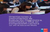 Orientaciones e Instrumentos de Evaluación Diagnóstica, 1