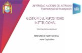 GESTION DEL REPOSITORIO INSTITUCIONAL