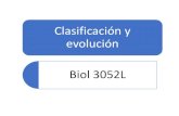 Clasificación y evolución Biol 3052L