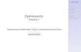 Optimización - Práctica 1