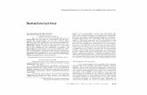 Somotostolino - BINASSS