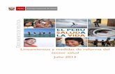 D Lineamientos y medidas de reforma del sector salud Julio ...