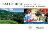 FAO e IICA