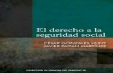 EL DERECHO A LA SEGURIDAD SOCIAL - PUCP