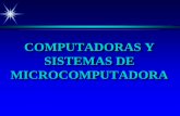 COMPUTADORAS Y SISTEMAS DE MICROCOMPUTADORA