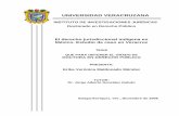 INSTITUTO DE INVESTIGACIONES JURÍDICAS Doctorado en ...