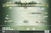 BENEFICIOS DE LOS ÁRBOLES URBANOS