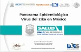 Panorama Epidemiológico Virus del Zika en México