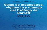 GUÍA CLÍNICA II Guías de diagnóstico, vigilancia y manejo ...