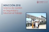 INDUCCIÓN-2018 Sistema de Gestión en Seguridad y Salud en ...