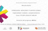 Morelia Norte HERBOLARIA MEXICANA Y PLANTAS CHINAS ...