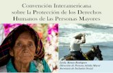 Convención Interamericana sobre la Protección de los ...