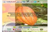 cacao en el Perú / IICA. – Lima : IICA, 2006.