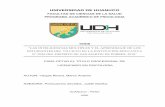 UNIVERSIDAD DE HUANUCO - repositorio.udh.edu.pe