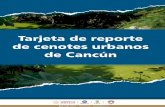 Tarjeta de reporte de cenotes urbanos de Cancún