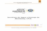 Servicios de Agua y Drenaje de Monterrey, I.P.D.