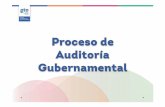 Proceso de Auditoría Gubernamental - Guanajuato