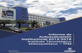 Informe de Autoevaluación Institucional 2013-2018