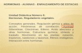 HORMONAS - AUXINAS - ENRAIZAMIENTO DE ESTACAS Unidad ...