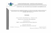 Caracterización epidemiológico-molecular de M ...