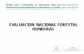 EVALUACION NACIONAL FORESTAL HONDURAS