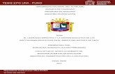 MENCIÓN EN ADMINISTRACIÓN DE LA ... - tesis.unap.edu.pe
