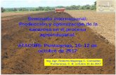 Seminario internacional: Producción y optimización de la ...
