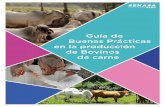 Guía de Buenas Prácticas en la producción de Bovinos de carne