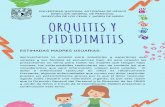 ORQUITIS Y EPIDIDIMITIS - UNAM