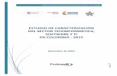 ESTUDIO DE CARACTERIZACIÓN DEL SECTOR TELEINFORMÁTICA ...
